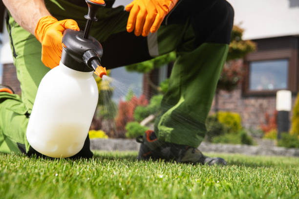 Best Affordable Pest Control Services  in Stirling, NJ